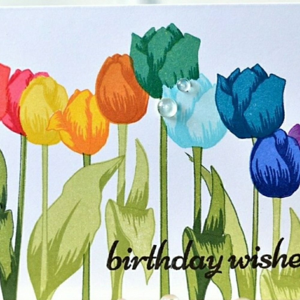 Tulips